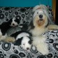 kiara y sus hijas,yuna asu lado